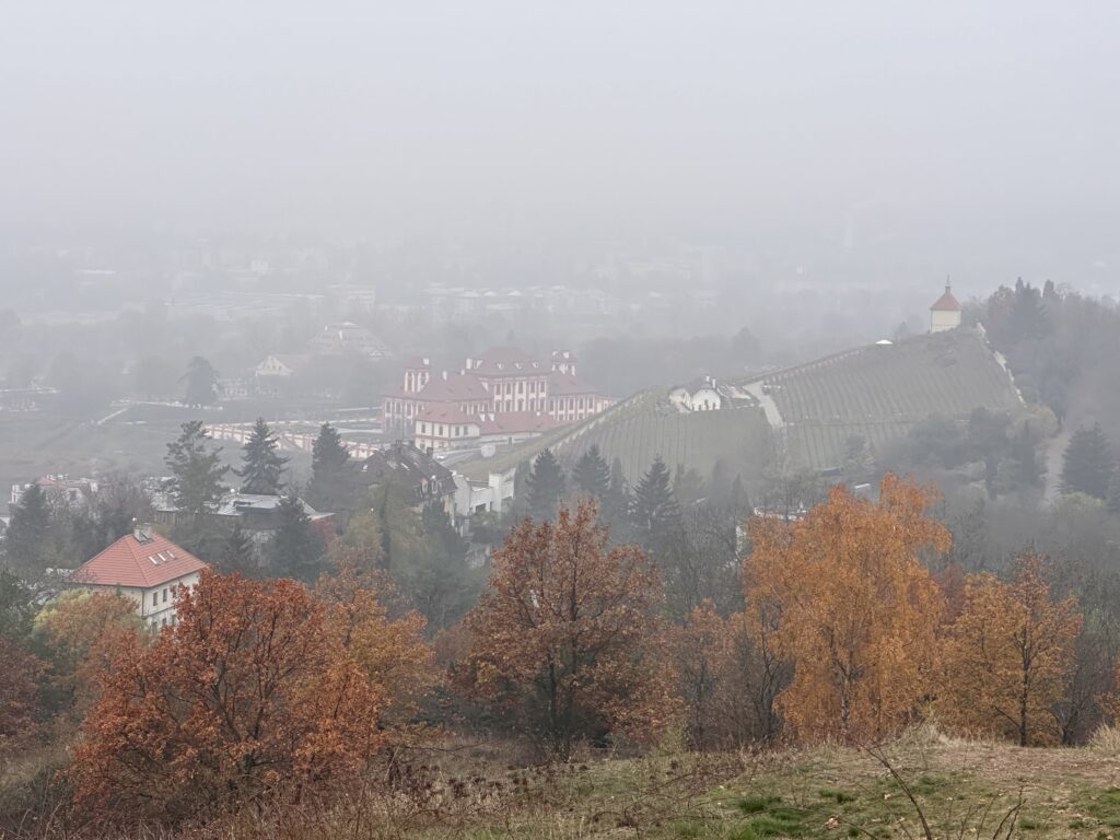 Pustá vinice - výhled na vinici sv. Kláry
