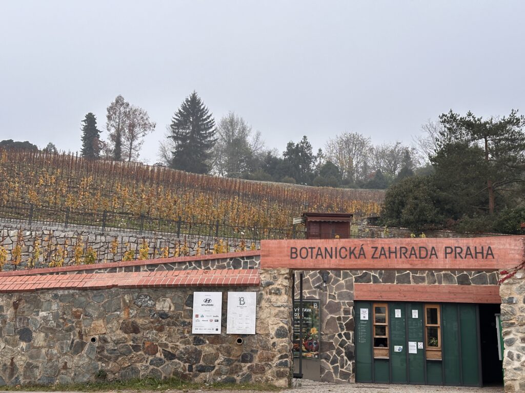 Botanická zahrada