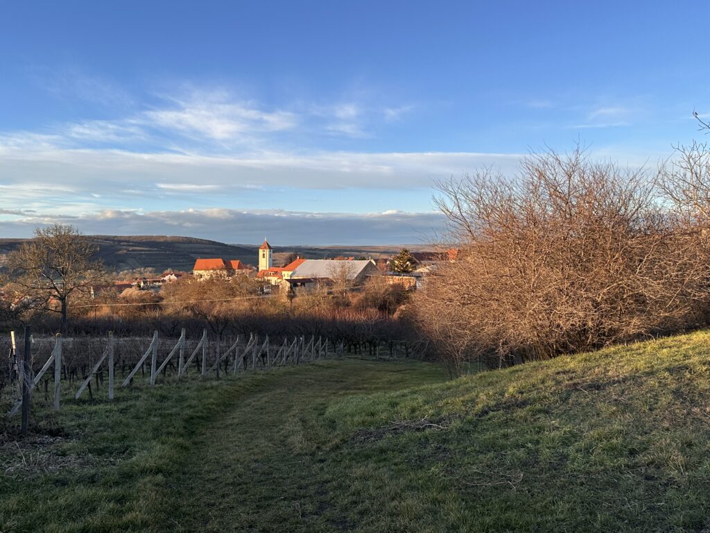 Kobylí