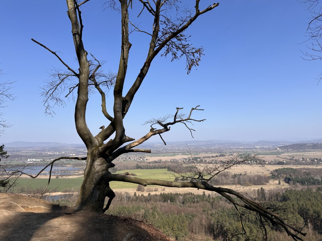 Příhrazské skály - výhled na rybník Žabakor