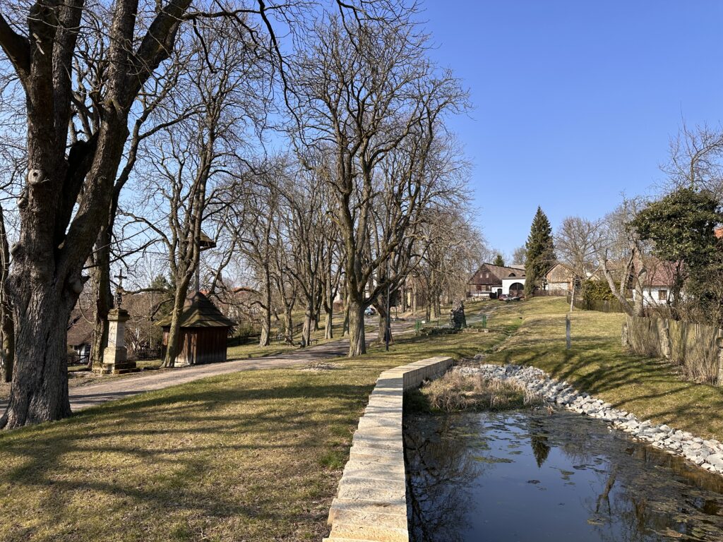 Vesnička Mužský