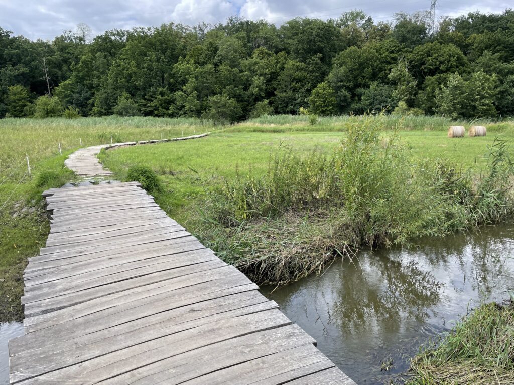 Poldr Čihadla