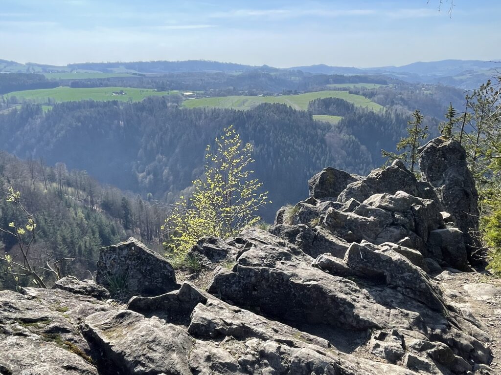 Myší skála - výhled