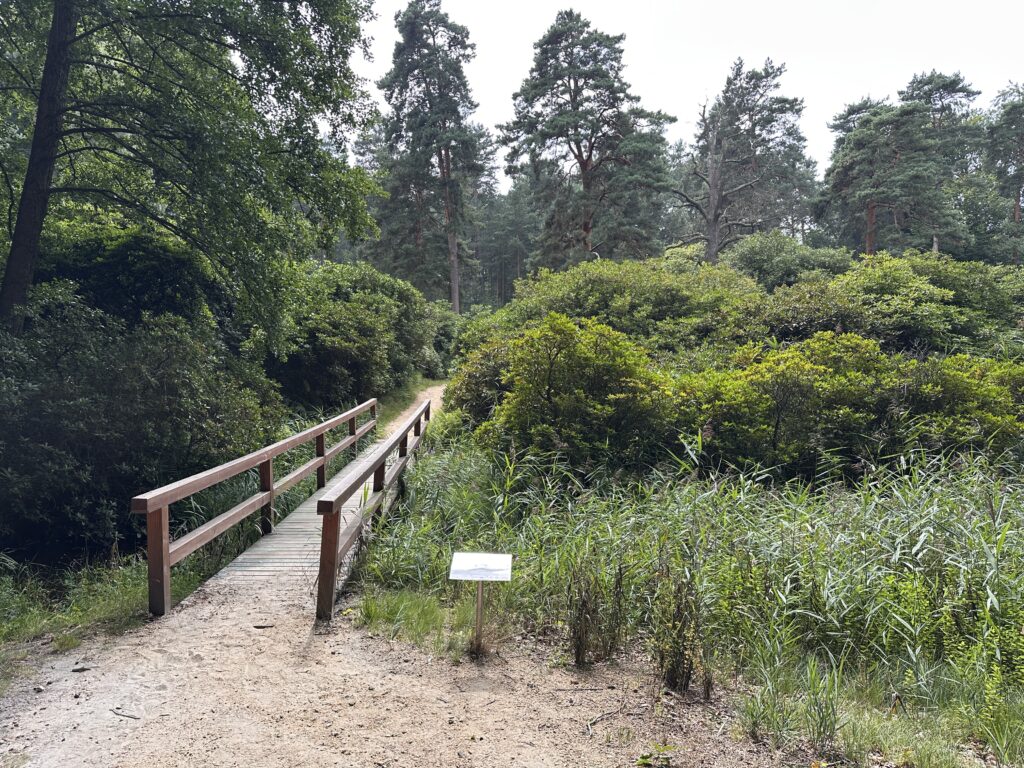 Rododendronový park v Kromlau